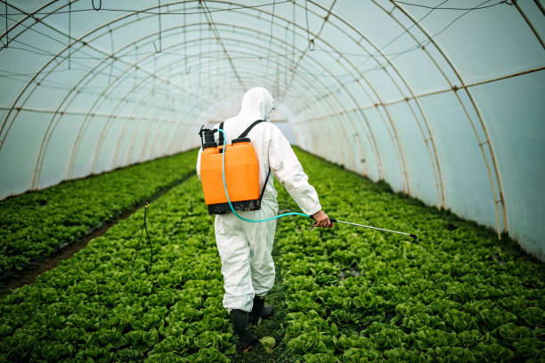 Best Best Pest Control Companies  in Oak Hills Pce, LA