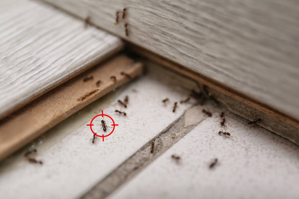 Pest Control Cost in Oak Hills Place, LA