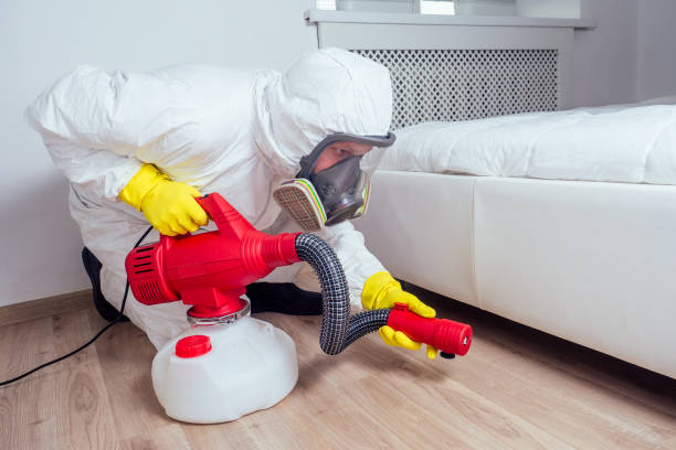 Best Wasp Removal Services  in Oak Hills Pce, LA