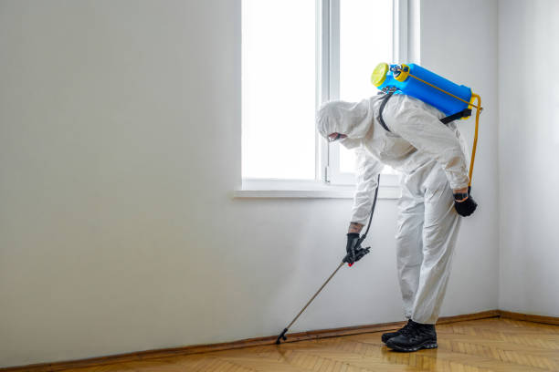 Best Cockroach Control Services  in Oak Hills Pce, LA