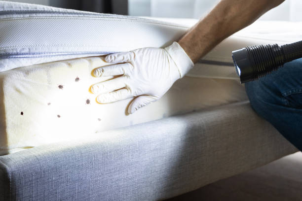 Pest Control for Restaurants in Oak Hills Place, LA