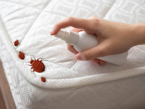 Best Affordable Pest Control Services  in Oak Hills Pce, LA