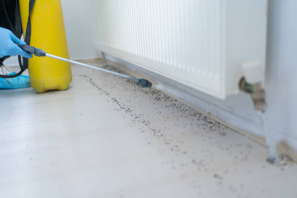 Flea Control Services in Oak Hills Place, LA