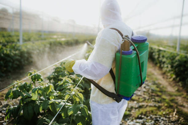 Best Wasp Removal Services  in Oak Hills Pce, LA